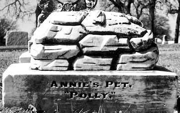 Annie's pet Polly